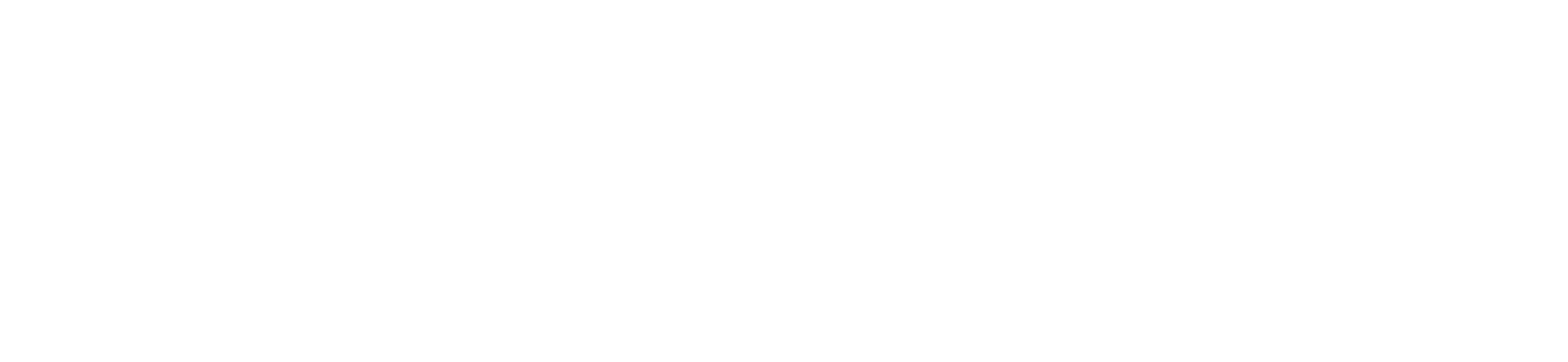 AesTraDog